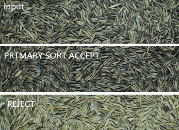 Intelligent Automatic Barley Color Sorter Grains Grading Sorting Machine Factory Price