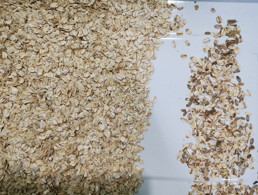 High Output Oat Sorter Color Machine With Optical Ccd Color Sorter
