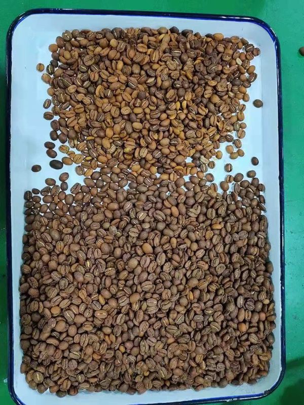 240V 50Hz Roasted Coffee Bean Sorting Machine high speed processing Chip