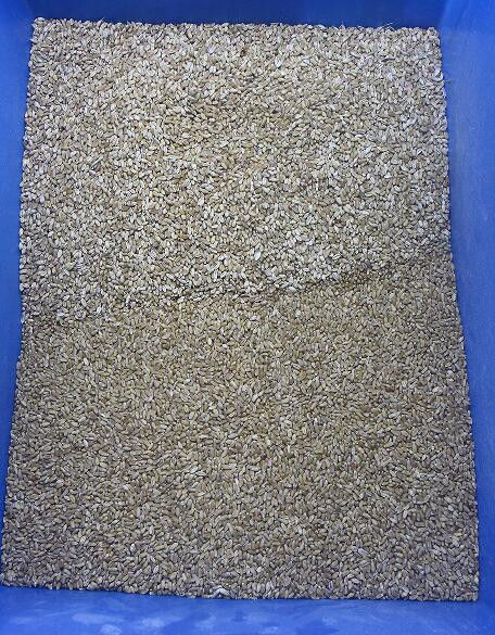 Buckwheat Color Sorter Oat Wheat Color Sorter Quinoa Color Sorting Machine