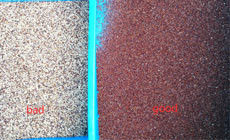 Factory Sale High Technology Grains Color Sorter For Grains Industry With World Brand