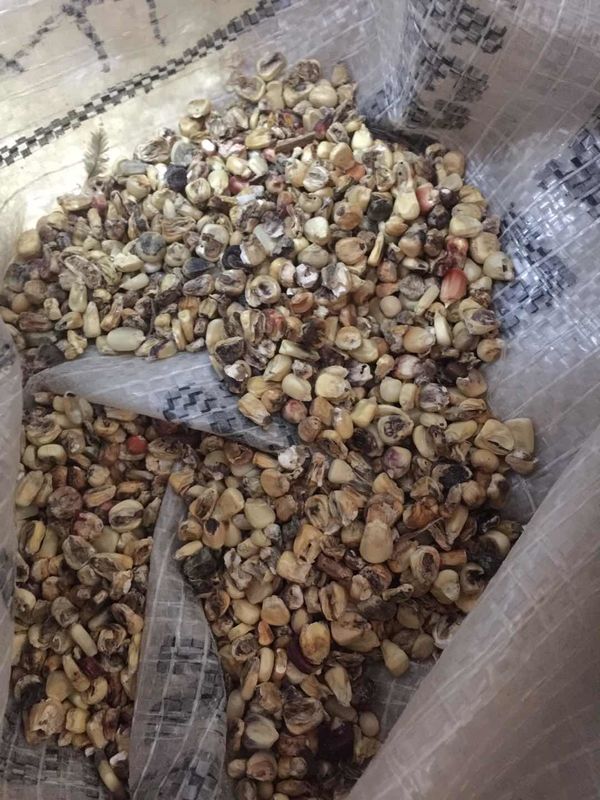 Multi-Purpose Corn Color Sorter Machine Grain Color Sorter For White Corn Color Separating