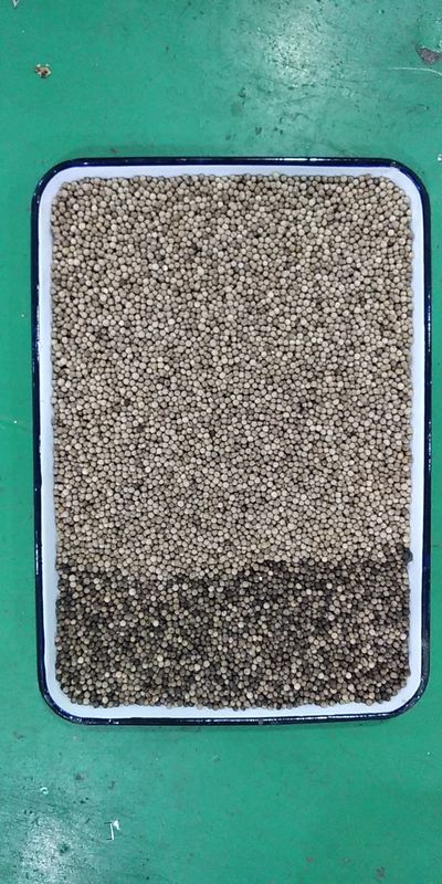 Automatic CCD Grain Color Sorter , 3t/h Pepper Sorting Machine