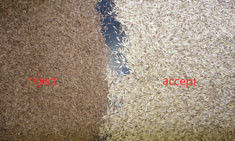 1 Chute 64 Channels Wenyao Color Sorter for Rye seeds