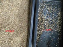 1 Chute 64 Channels Wenyao Color Sorter for Rye seeds