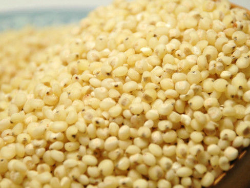 Wenyao Grain Color Sorter , Sorghum Sorting Machine CE ISO9001