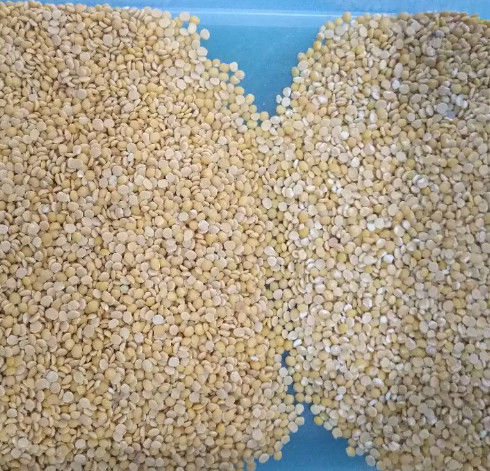 Wenyao Grain Color Sorter , Sorghum Sorting Machine CE ISO9001