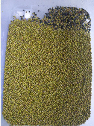 Fully Automatic Soybean Color Sorter / Red Bean / Mung Bean / Coffee Bean Color Sorting Machine