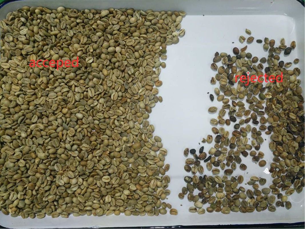 5400 Pixels Mini Coffee Bean Color Sorter   With High Accuracy
