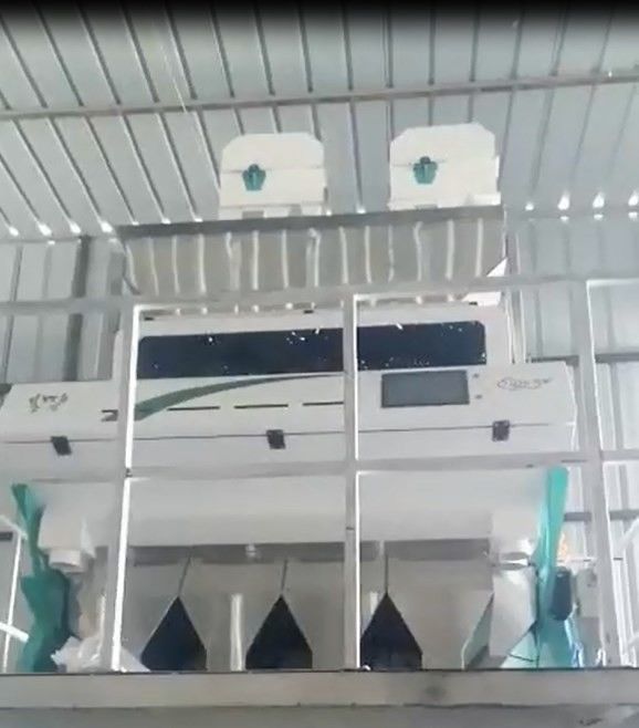 WENYAO Peeled Peanuts Nuts Rice Color Sorter Machine With CCD LED Automatically