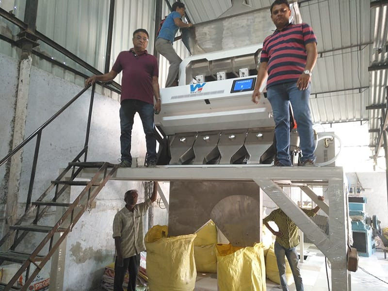 WENYAO Peeled Peanuts Nuts Rice Color Sorter Machine With CCD LED Automatically