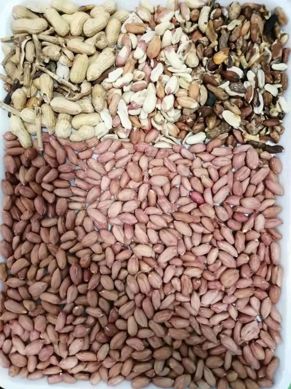 Nut Color Sorter Machine Grain Color Sorter Electric Peanut Color Sorter Machine
