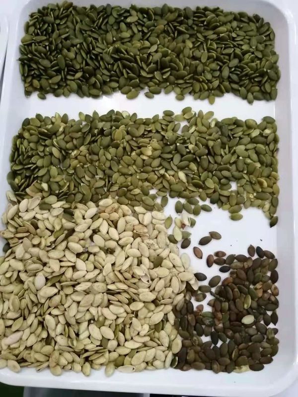 Agriculture Intelligent Pumpkin Seeds Colour Sorter Machine Seed Color Sorter