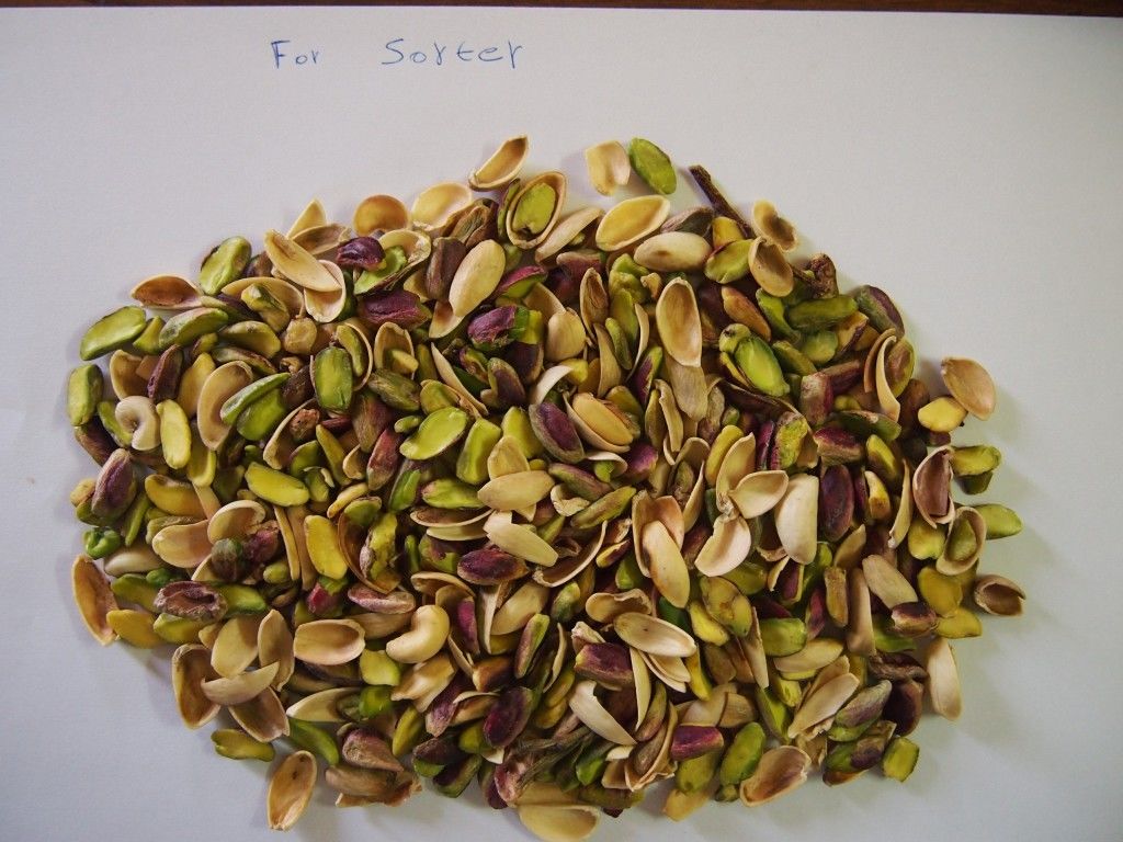 Automatic Intelligent Pistachio Nut Color Sorter Machinery From WENYAO In Fefei China