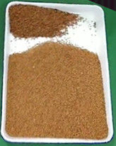 Fenugreek Seeds Color Sorter Fenugreek Seed Processing Machine Fenugreek Seeds Color Sorting Machine
