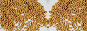 Fenugreek Seeds Color Sorter Fenugreek Seed Processing Machine Fenugreek Seeds Color Sorting Machine