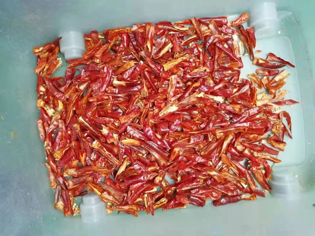 2 Chutes 128 Channels Chili Sorting Machine CE Approved For Pepper