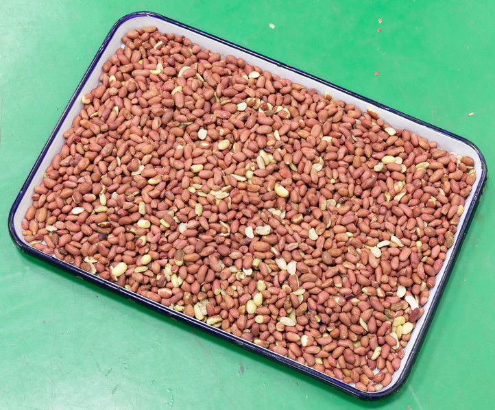 5 Chutes High Accuracy Peanut Color Sorter Machinery For Sorting Peeled Peanuts