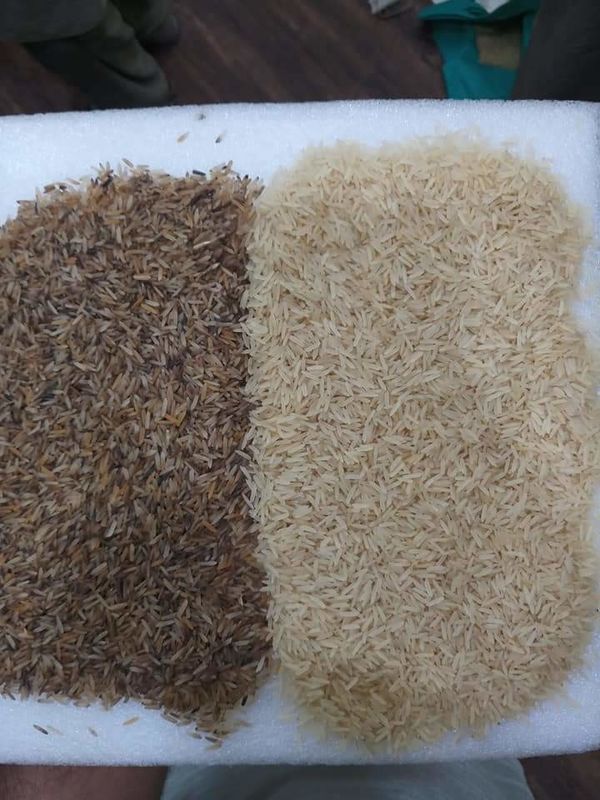 Chute Type Rice Paddy Separator Machine High Level AI Self Learning Function Color Sorter