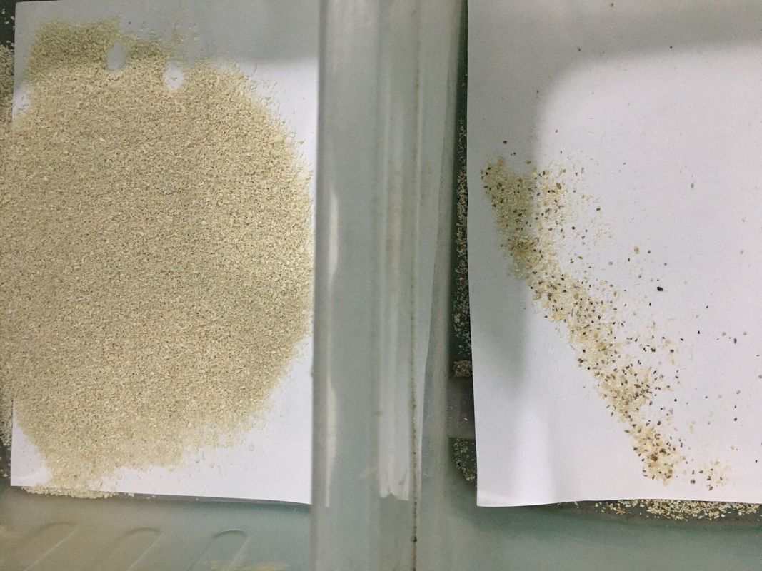 Regular Dessicated Coconut Color Sorter Machinery For Sorting Yellow Coconut Particles