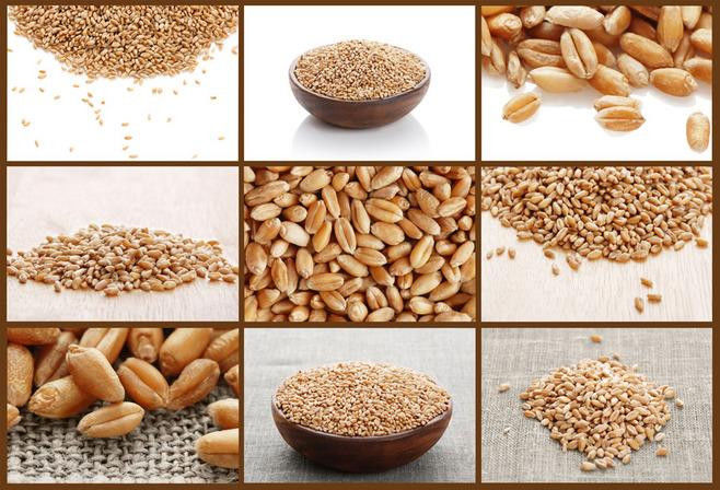 Multifunction Sunflower Seeds Peanut Kernel Sorter Machine Black Kidney Bean Pistachio Nut Color Sorter