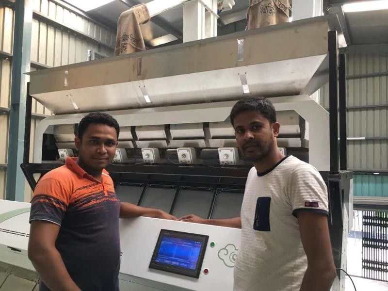 Easy Operation full automatic Grains Color Sorter with artificial intelligence
