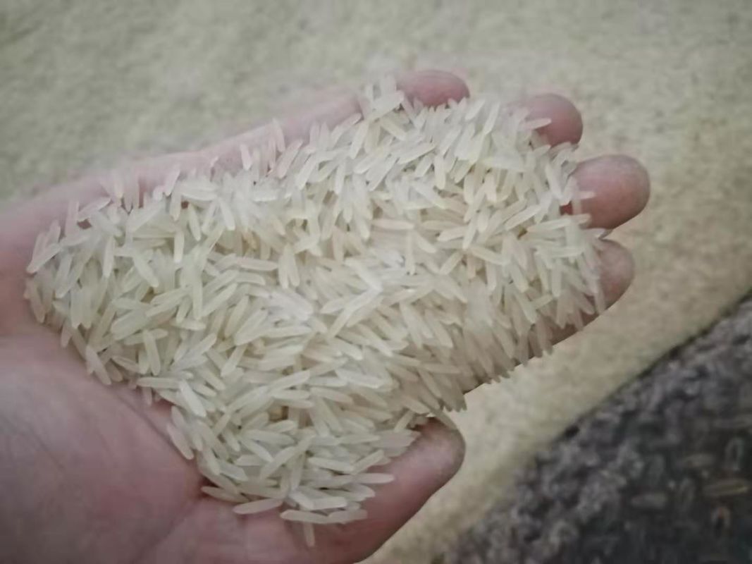 WENYAO Agriculture Rice Color Sorter , Multifunctional Grain Color Sorter Machine
