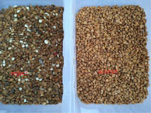 CCD Colour Pistachio Sorter Pistachio Machine For Processing Nuts Equipment Pistachio Sorting Machine