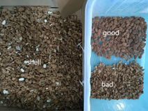 Intelligent Almond Color Sorter Nut Color Sorting Machine Colour Sorter