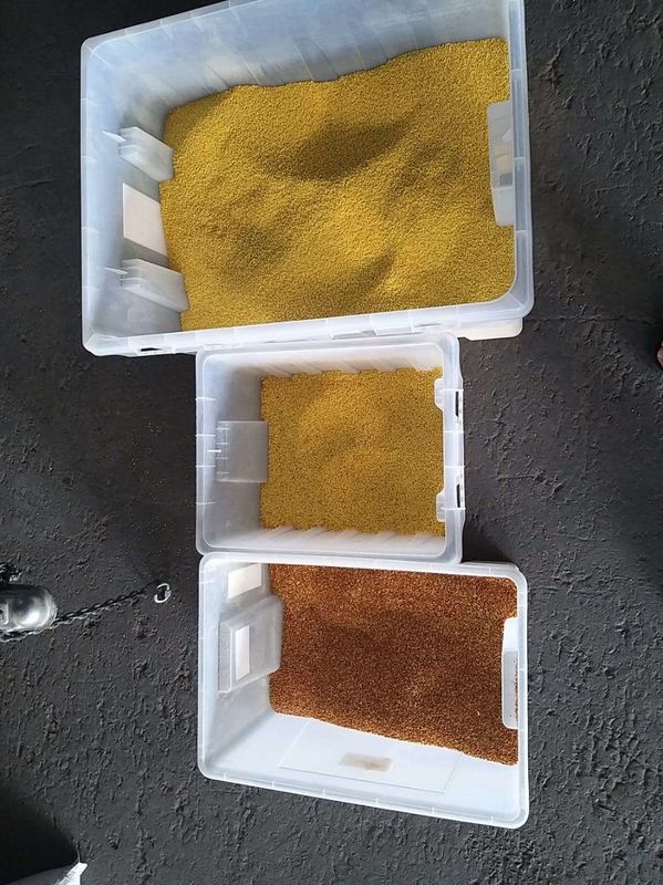 7T/H Millet Grain Color Sorter Metal Ejectors With Long Lifetime