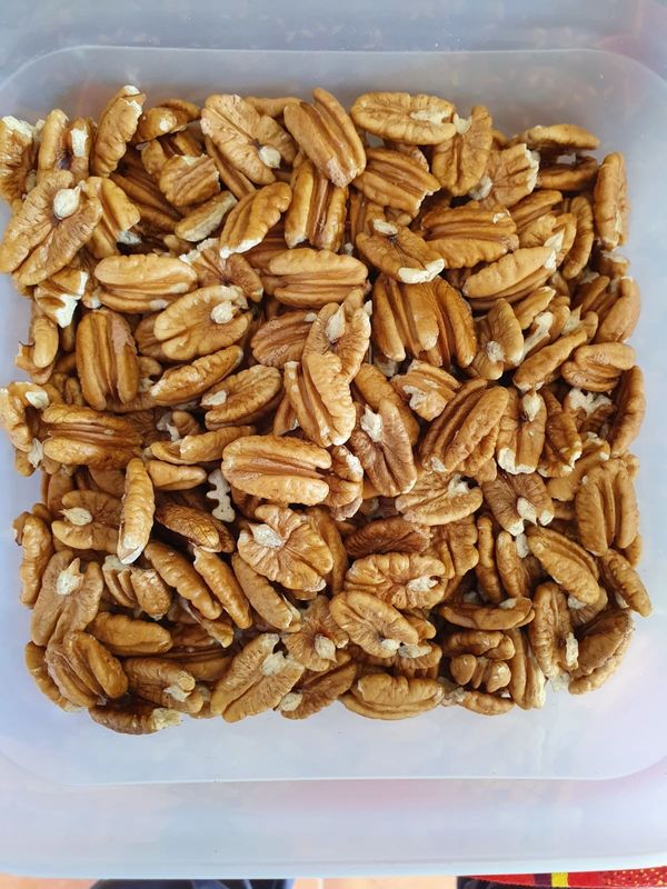 Mini Belt Type Horizontal Nuts Color Sorter From China
