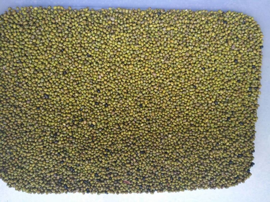 Intelligent Green Bean Colour Machine Beans Ccd Color Sorter Machine