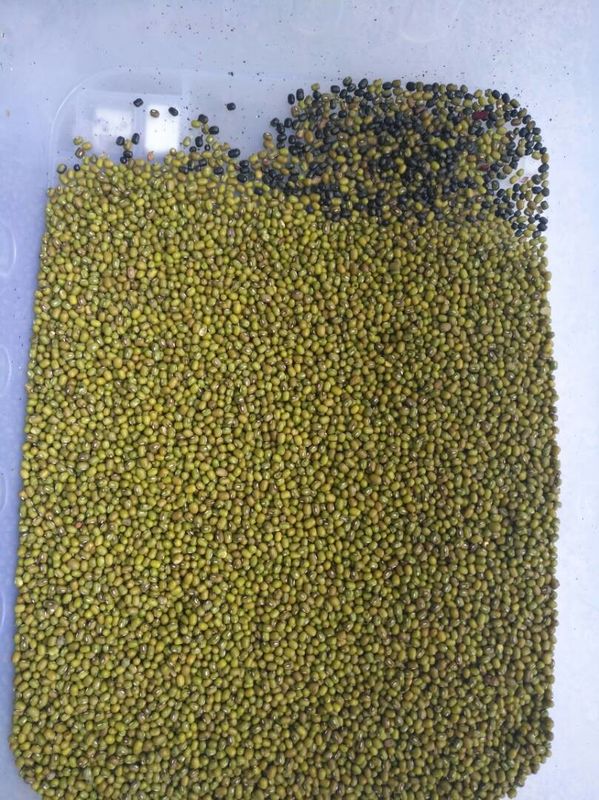 Intelligent Green Bean Colour Machine Beans Ccd Color Sorter Machine