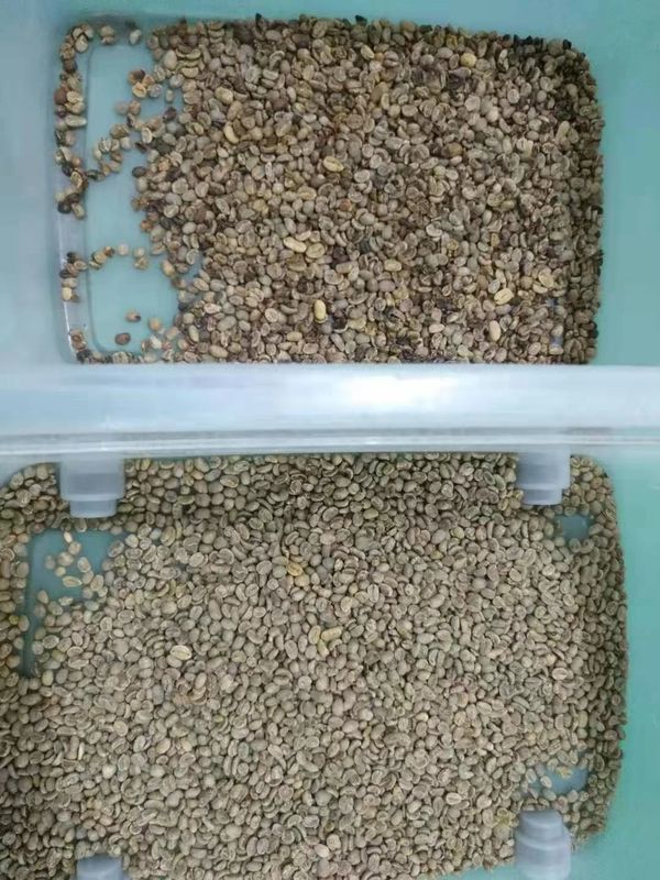 2 T/H Coffee Bean Color Sorter With Intelligent Image Processing System
