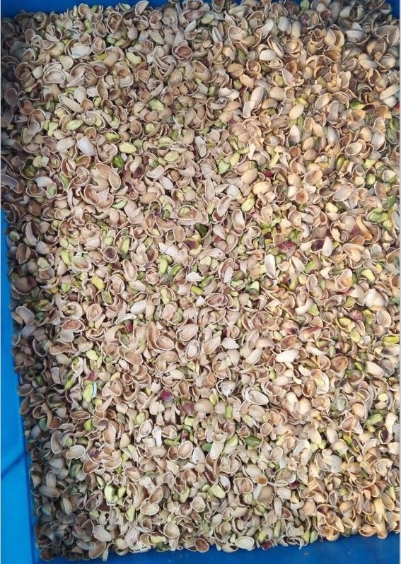 2020 Hot Sale Pistachios Color Sorting Forming Machine,Pistachio Nut Separating Machine