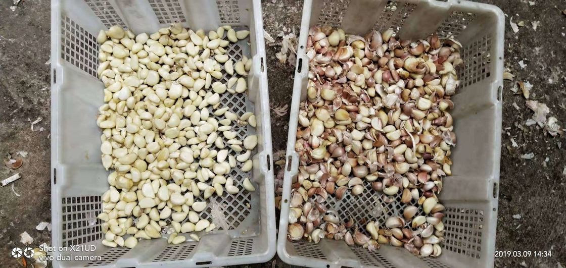New Design Optical CCD Small Garlic Color Sorter Manufacturer Multifunction Color Sorting