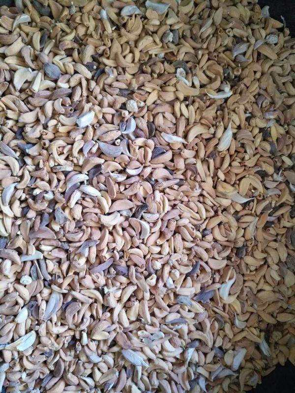 New Design Optical CCD Small Garlic Color Sorter Manufacturer Multifunction Color Sorting
