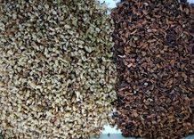 2 Chutes 128 Channels Nuts Color Sorter , WENYAO Walnut Color Sorter