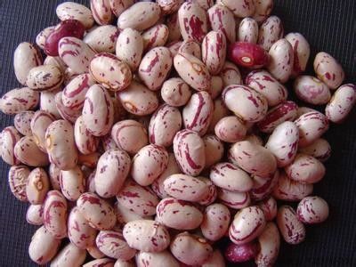 Multifunction Newest Software Kidney Beans Color Sorting Machine Beans Color Sorter