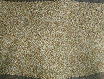 Pine Nut Color Sorter Pine Nuts Processing Grading Machine For Pine Nuts Separator