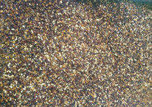 Pine Nut Color Sorter Pine Nuts Processing Grading Machine For Pine Nuts Separator
