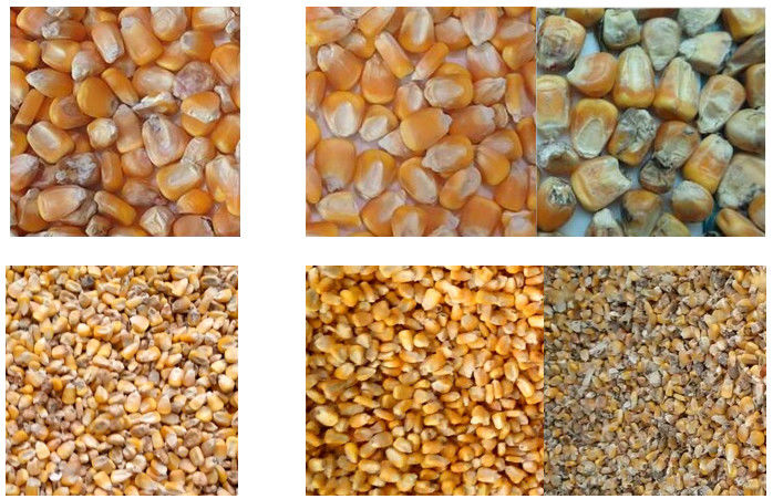 5400 Pixels Corn Grain Sorting Machine 384 Channels with High Capacity