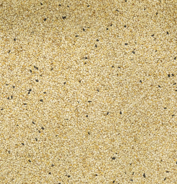 2t/h Wenyao Color Sorter , High Sorting Accuracy Sesame Color Sorter