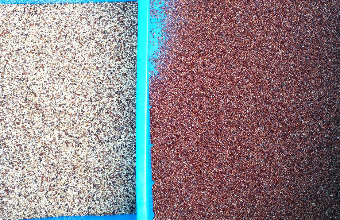 10 Chutes Grain Color Sorter , Cereal Color Sorter CE ISO9001 certificate