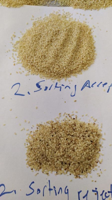 Wenyao High Capacity Sesame Seeds Color Sorter Sorting Separator Machine