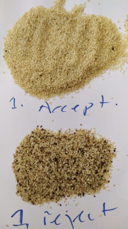 Wenyao High Capacity Sesame Seeds Color Sorter Sorting Separator Machine