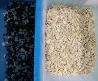 Multi-Functional Plastic ABS PP PVC PET Flakes Granules Colour Sorter Recycling Plastic Color Sorting Machine