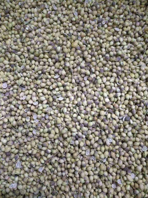 5kw Coriander Seeds Wenyao Color Sorter With Wifi Remote Control