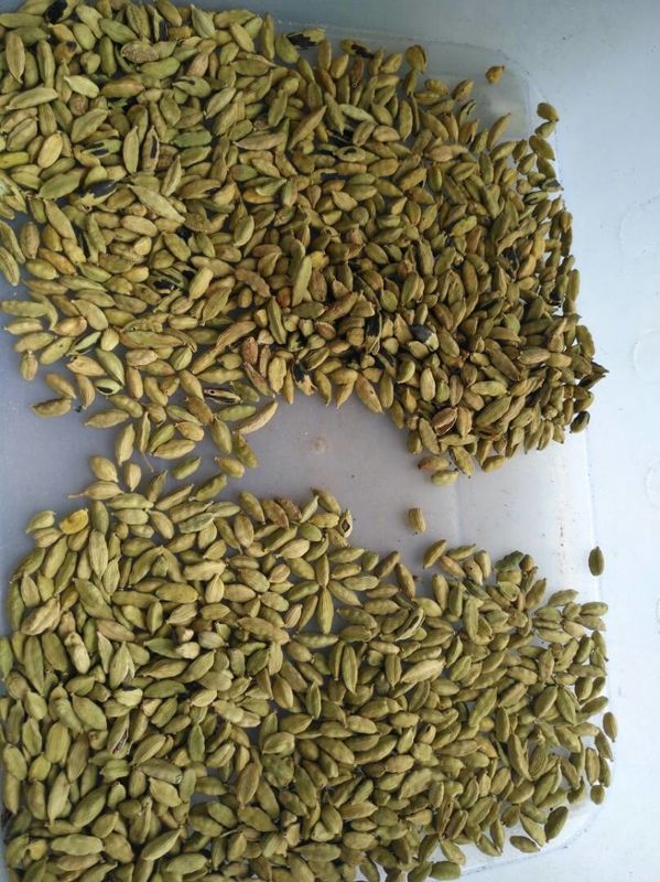 Cardamom Color Sorting Machine Beans Color Sorter Cardamom Processing Line