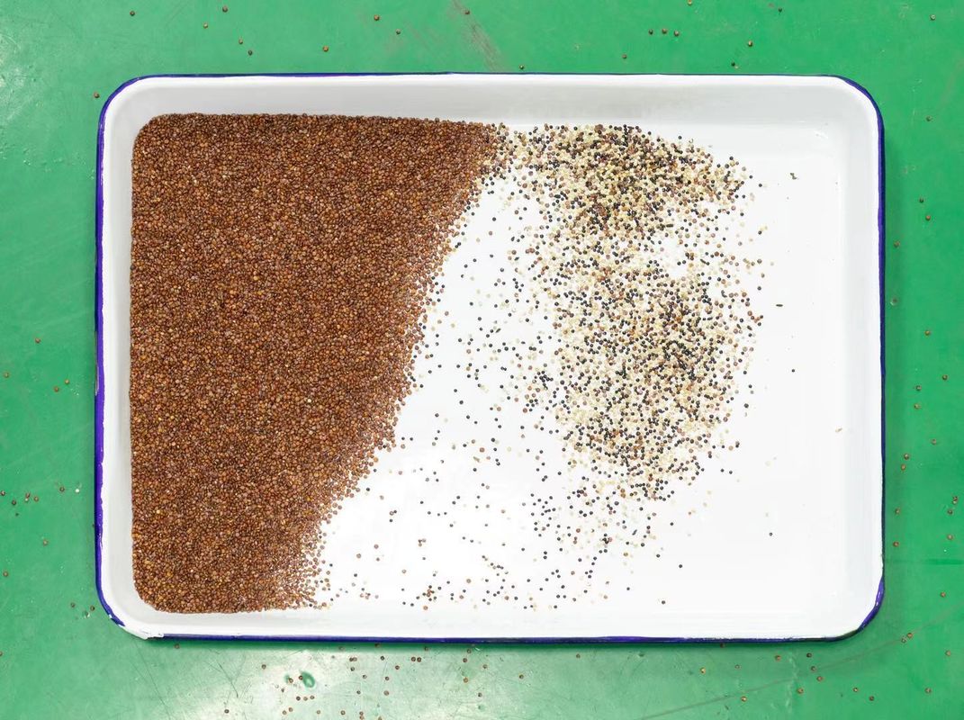 Quinoa Color Sorter Machines 128 Channels 2 Years Warranty